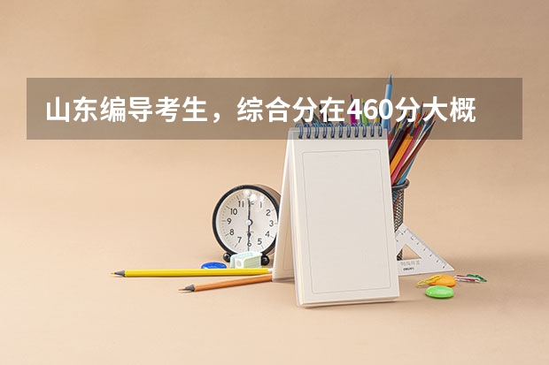 山东编导考生，综合分在460分大概可以上什么样的本科，公办本科有希望吗？