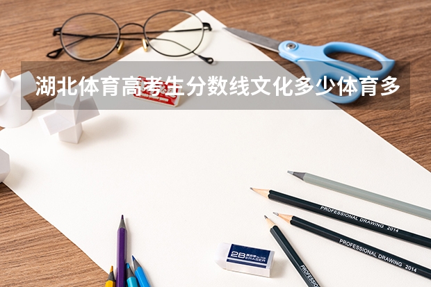 湖北体育高考生分数线文化多少体育多少