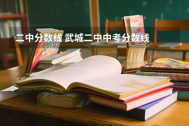二中分数线 武城二中中考分数线