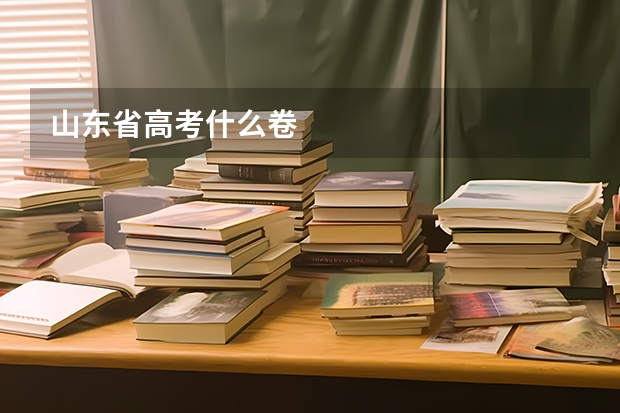 山东省高考什么卷