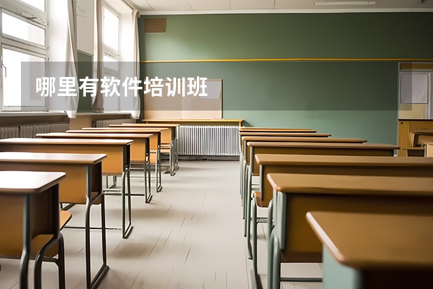 哪里有软件培训班