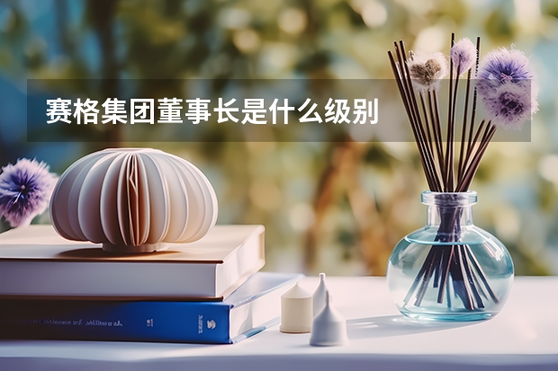 赛格集团董事长是什么级别