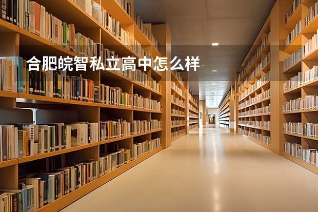 合肥皖智私立高中怎么样