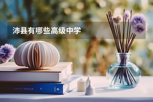 沛县有哪些高级中学