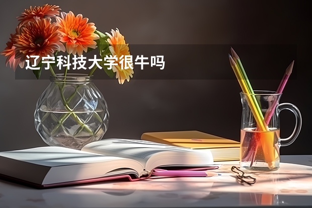 辽宁科技大学很牛吗