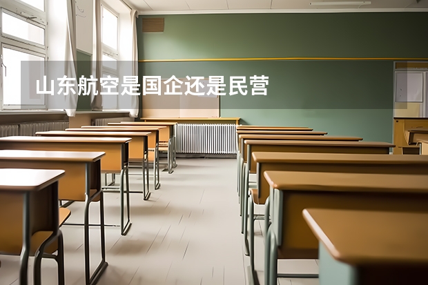 山东航空是国企还是民营