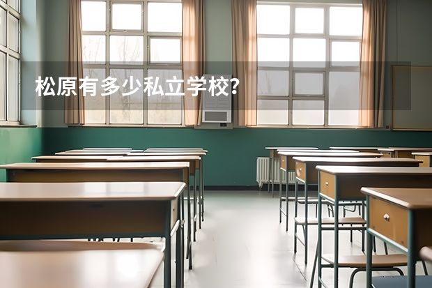 松原有多少私立学校？