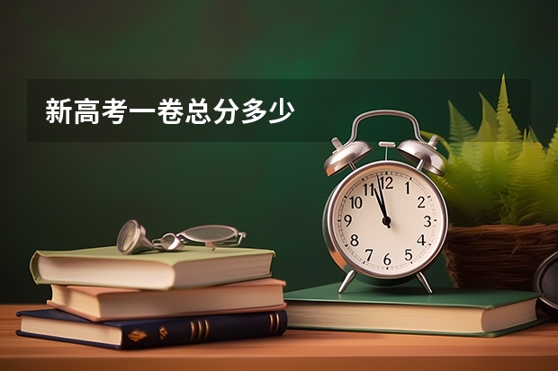新高考一卷总分多少