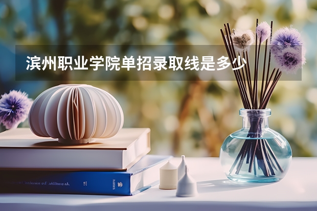 滨州职业学院单招录取线是多少