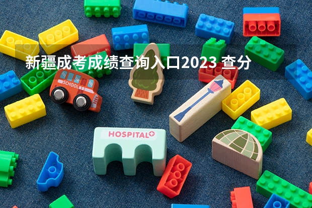新疆成考成绩查询入口2023 查分通道是什么？