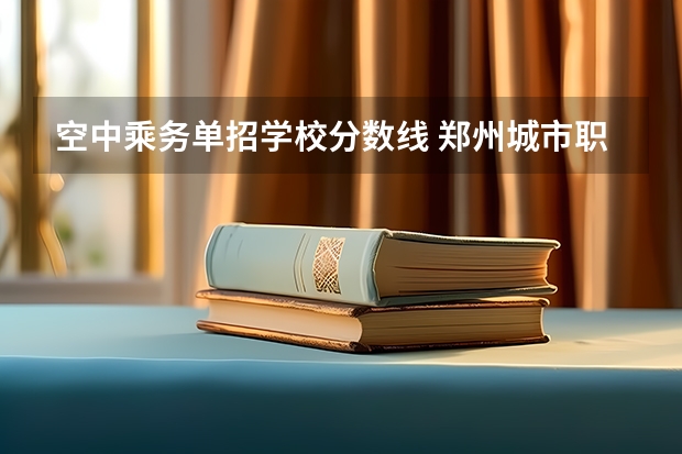 空中乘务单招学校分数线 郑州城市职业技术学院单招分数线