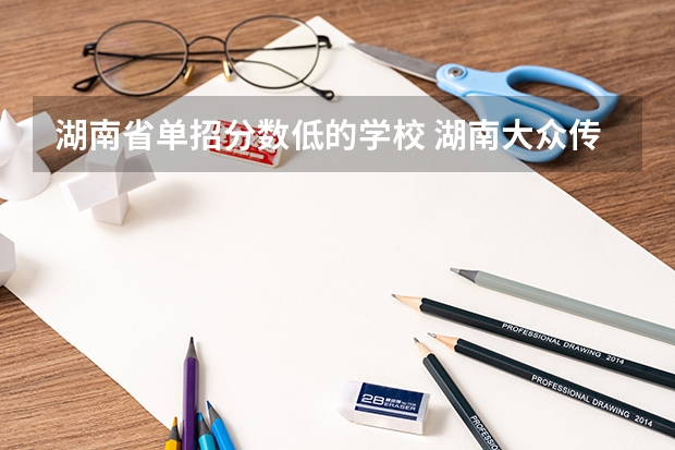 湖南省单招分数低的学校 湖南大众传媒职业技术学院分数线