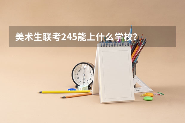 美术生联考245能上什么学校？