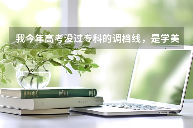 我今年高考没过专科的调档线，是学美术的~能读四川托普信息技术职业学院吗？