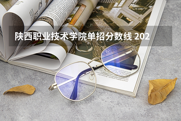 陕西职业技术学院单招分数线 2024河北单招学校及分数线