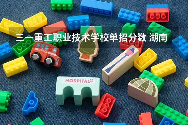 三一重工职业技术学校单招分数 湖南工业职业技术学院单招录取线
