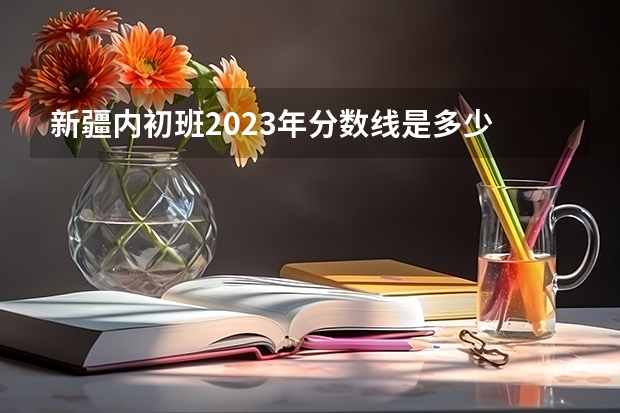 新疆内初班2023年分数线是多少
