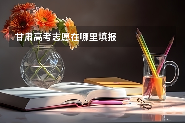 甘肃高考志愿在哪里填报
