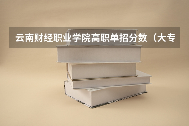 云南财经职业学院高职单招分数（大专单招考试1类考390报啥学校？）