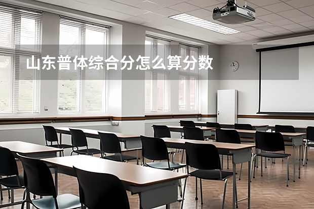 山东普体综合分怎么算分数