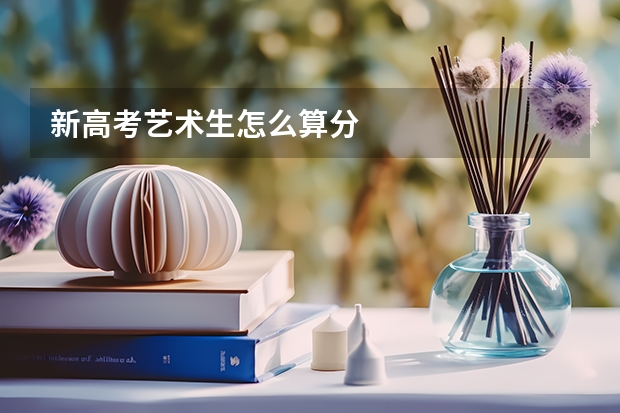 新高考艺术生怎么算分
