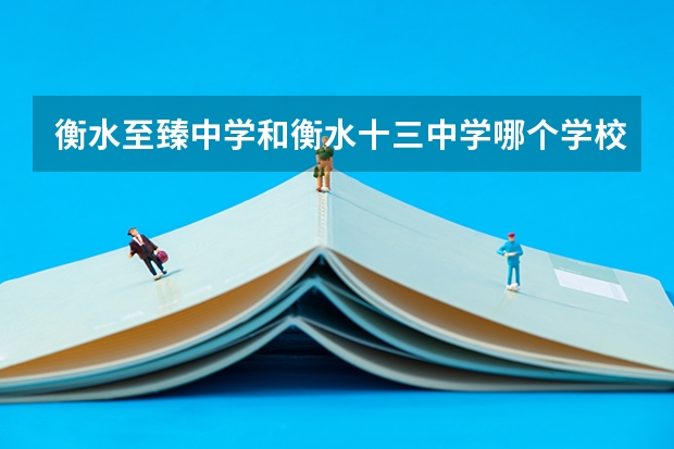 衡水至臻中学和衡水十三中学哪个学校高考成绩好