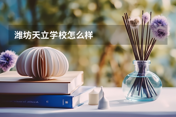 潍坊天立学校怎么样