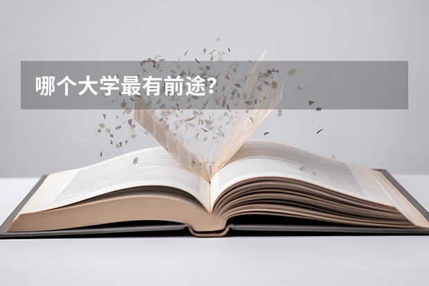 哪个大学最有前途？