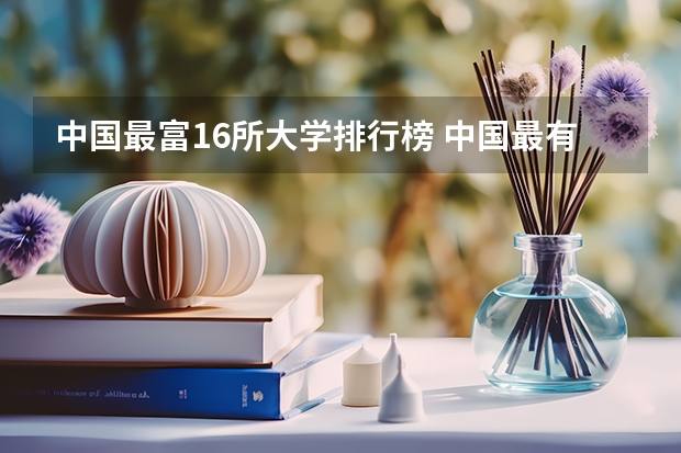 中国最富16所大学排行榜 中国最有名最好的经济大学是哪所?