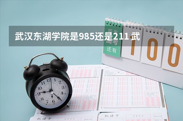 武汉东湖学院是985还是211 武汉东湖学院怎么样