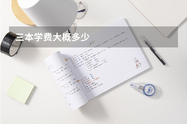 三本学费大概多少