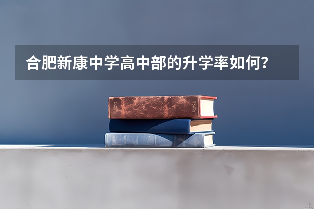 合肥新康中学高中部的升学率如何？
