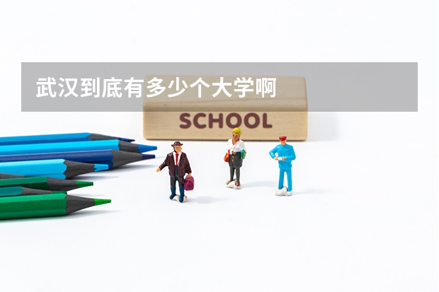 武汉到底有多少个大学啊
