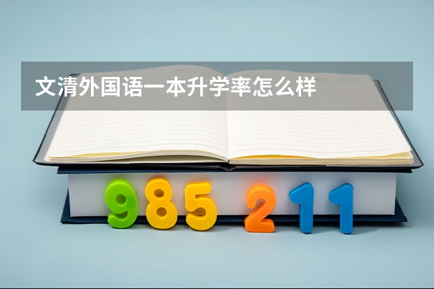 文清外国语一本升学率怎么样