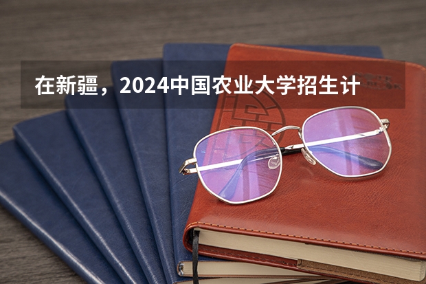 在新疆，2024中国农业大学招生计划如何