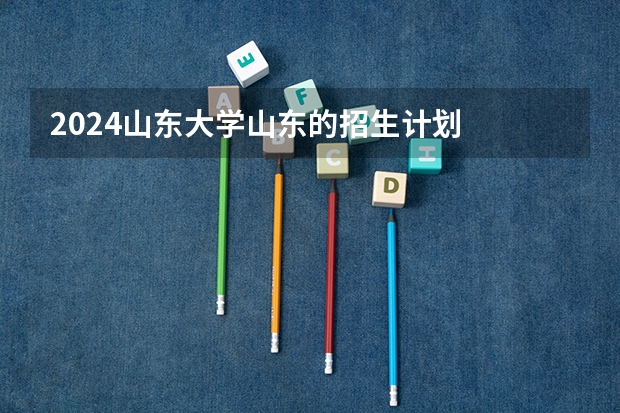 2024山东大学山东的招生计划