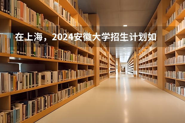 在上海，2024安徽大学招生计划如何