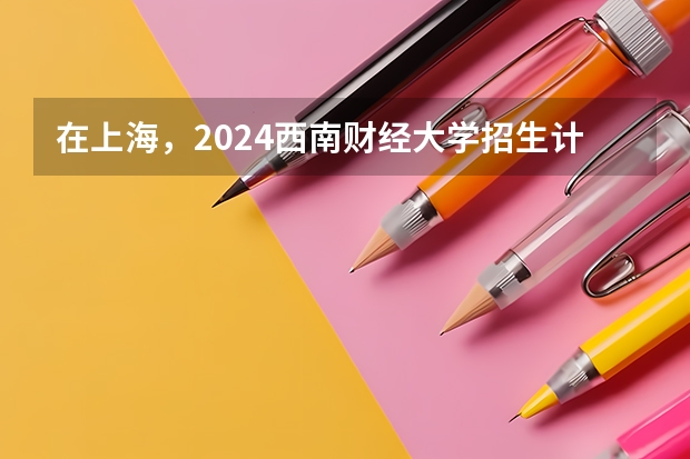 在上海，2024西南财经大学招生计划如何