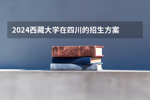2024西藏大学在四川的招生方案