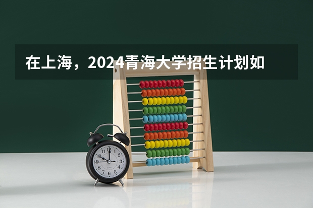 在上海，2024青海大学招生计划如何