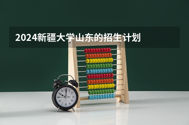 2024新疆大学山东的招生计划