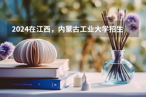 2024在江西，内蒙古工业大学招生计划如何