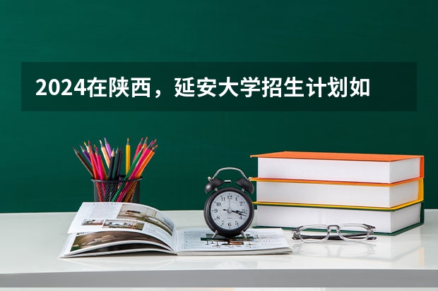 2024在陕西，延安大学招生计划如何