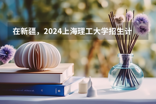 在新疆，2024上海理工大学招生计划如何