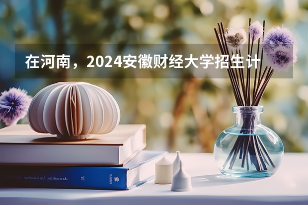 在河南，2024安徽财经大学招生计划如何