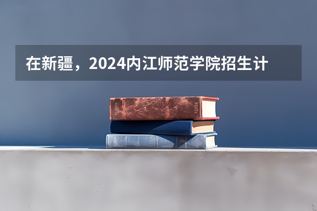 在新疆，2024内江师范学院招生计划如何