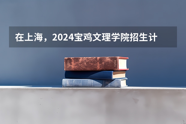在上海，2024宝鸡文理学院招生计划如何
