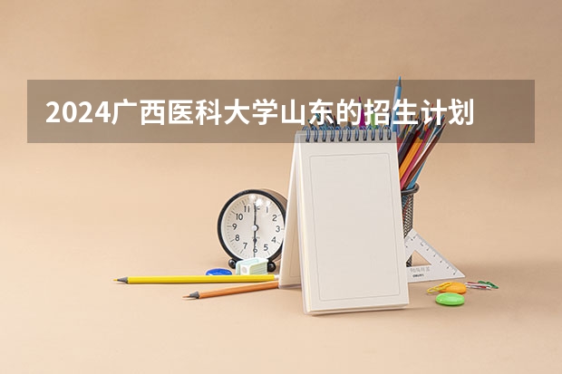 2024广西医科大学山东的招生计划