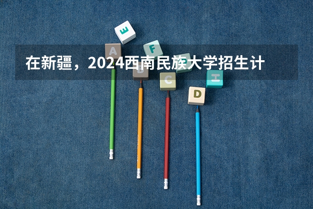 在新疆，2024西南民族大学招生计划如何