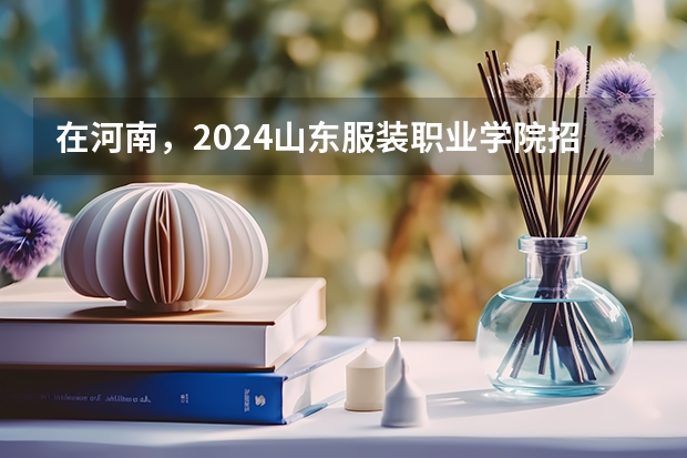 在河南，2024山东服装职业学院招生计划如何